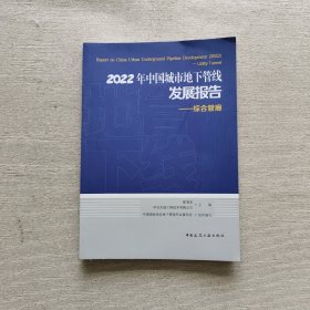 2022年中国城市地下管线发展报告——综合管廊