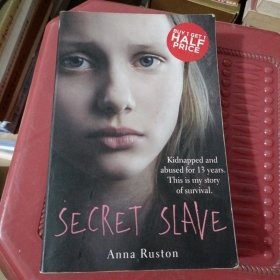 英文原版SECRET SLAVE