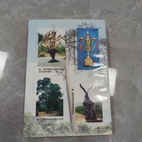 杨集乡志 (湖北省京山县)