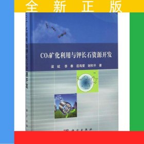 CO2礦化利用與鉀長石資源開發(fā)
