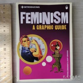 Introducing Feminism:AGraphic Guide 女权主义导论 英文原版