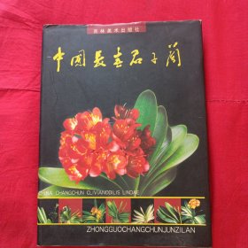 中国长春君子兰