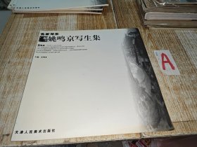 名家写生：姚鸣京写生集.