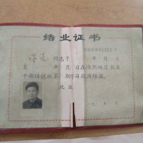 1981年，许亮（江苏省淮阴农业学校结业证书，成绩报告单）