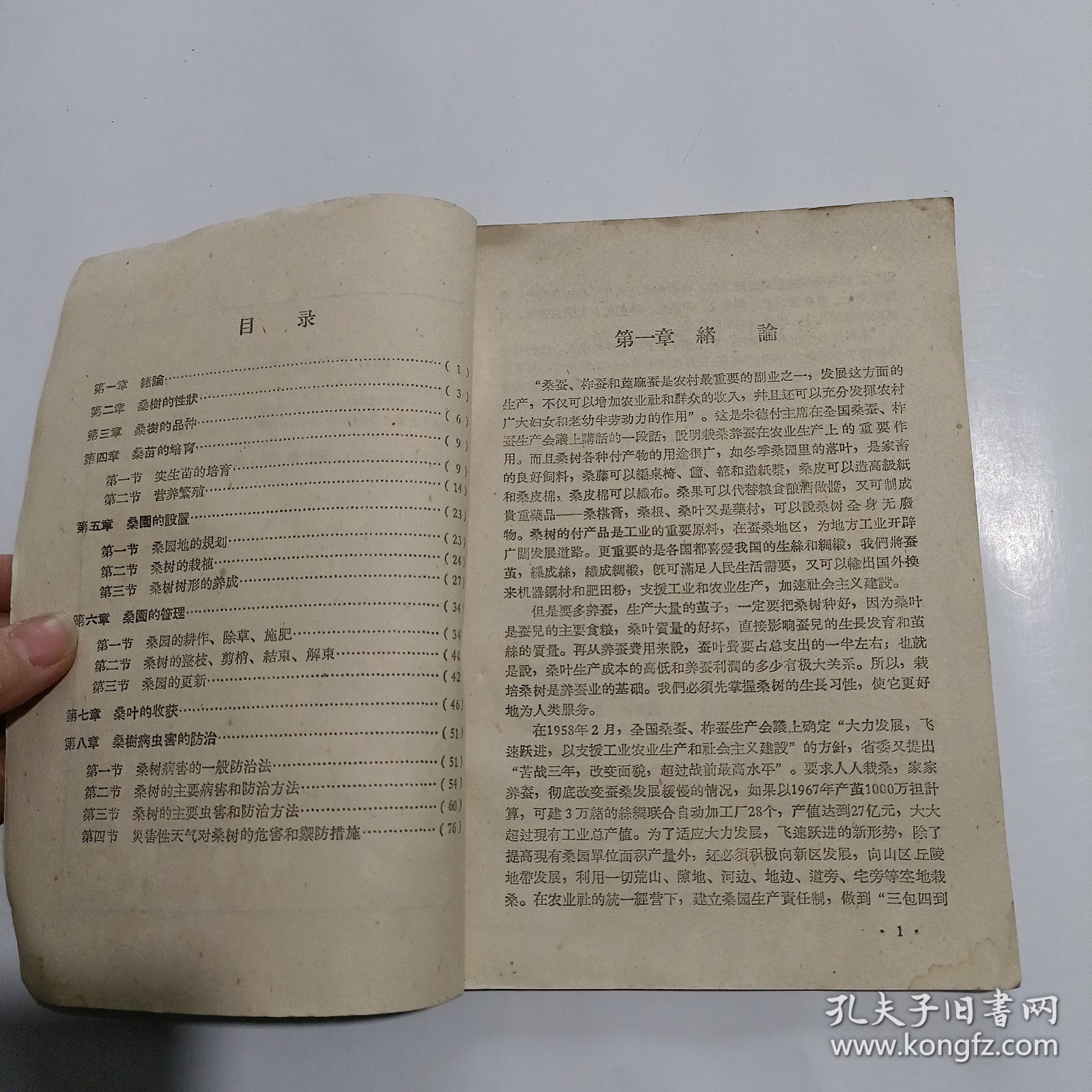 1958年《栽桑学》浙江省农业技术学校试用课本（蚕桑专业用）