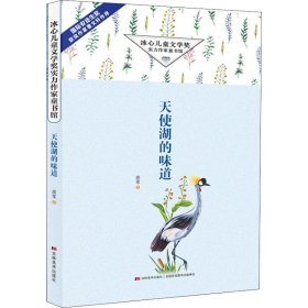 正版 天使湖的味道 胡莹 吉林美术出版社有限责任公司