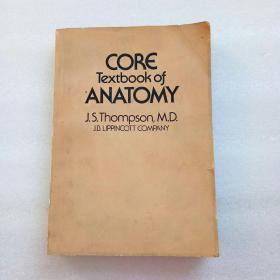 解剖学纲要教科书（英文）