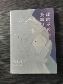 此时不必问去哪里（80后文学领军作家独木舟暌违五年，2020长篇力作）