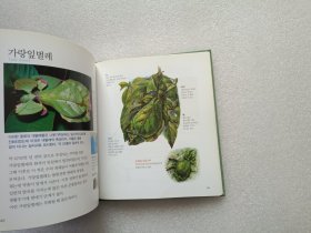 （韩文版）Encyclopedia of Animals：Invertebrates·Amphibians·Reptiles 动物百科全书: 无脊椎动物 · 两栖动物 · 爬行动物 精装本