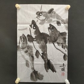 122e33：著名画家、花鸟师承李苦禅大师、中国美术家协会北京分会会员—钱卫国 花鸟国画作品一幅 ，纸本软片，尺寸约1.3平尺！