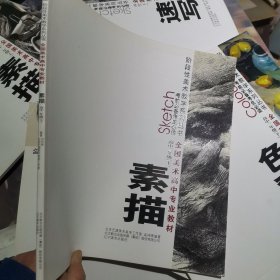 考前必备考生必读阶段性美术教学系列丛书·全国美术高中专业教材：素描高中2年级（下）