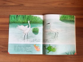 幼儿益智画册5本一起便宜出（全彩页）