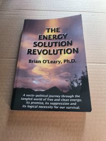The Energy Solution Revolution （Second Edition）能源解决方案革命 【英文原版】
