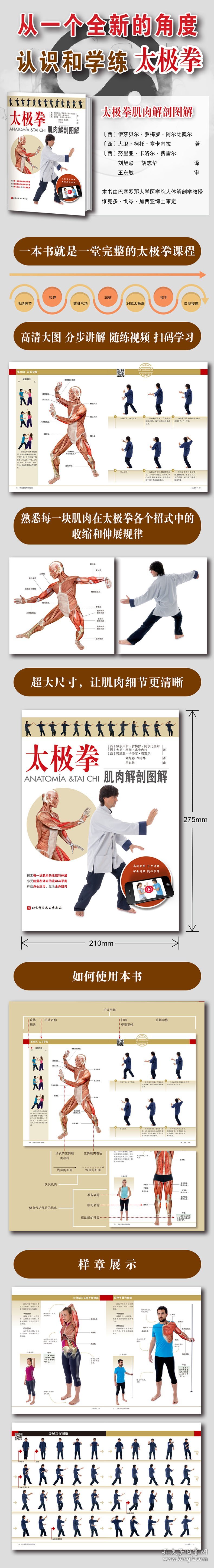 太极拳肌肉解剖图解 9787571424008