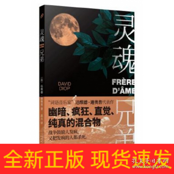 “词语音乐家”达维德·迪奥普代表作：灵魂兄弟（揭示荒谬的真相：战争鼓励人发疯，又把发疯的人都杀死）