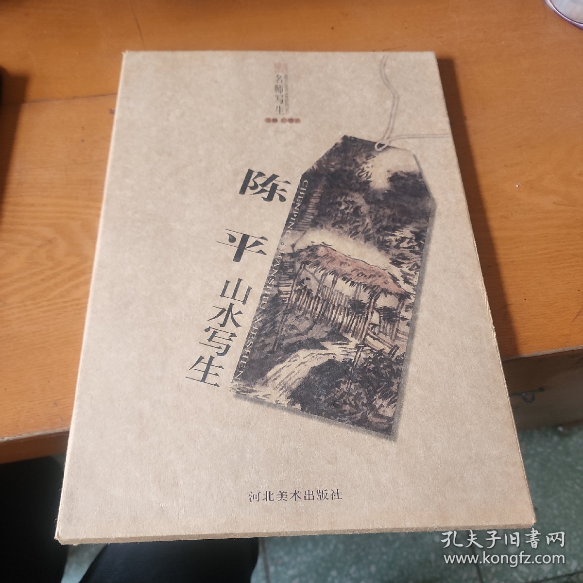 名师写生－陈平竹枝写生