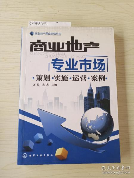 商业地产专业市场：策划·实施·运营·案例