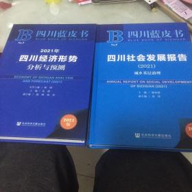 2021年四川经济形势分析与预测(2021版)(精)/四川蓝皮书