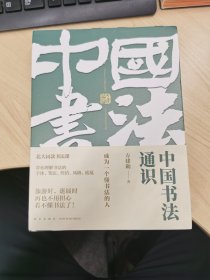 中国书法通识（北大爆款书法课，带你成为一个懂书法的人 得到图书 方建勋）