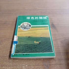 绿色的翅膀:中国的农业科技