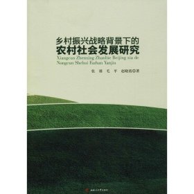 乡村振兴战略背景下的农村社会发展研究