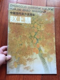 中国当代实力派画家赵上慧全新未开封 （A区）