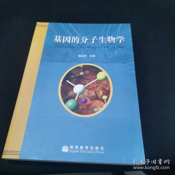 基因的分子生物学