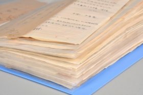 同一上款致李燕杰信札40通