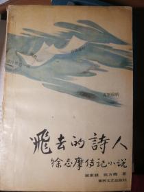 飞去的诗人—徐志摩传记小说（馆藏）