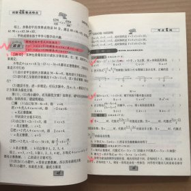 讲透重点难点·初中数学：方程与不等式