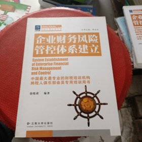 企业财务检查技术/纳税人俱乐部丛书