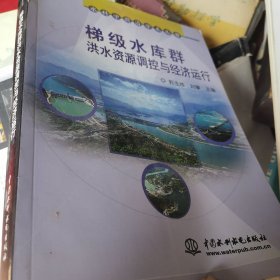 水科学前沿学术丛书：梯级水库群洪水资源调控与经济运行