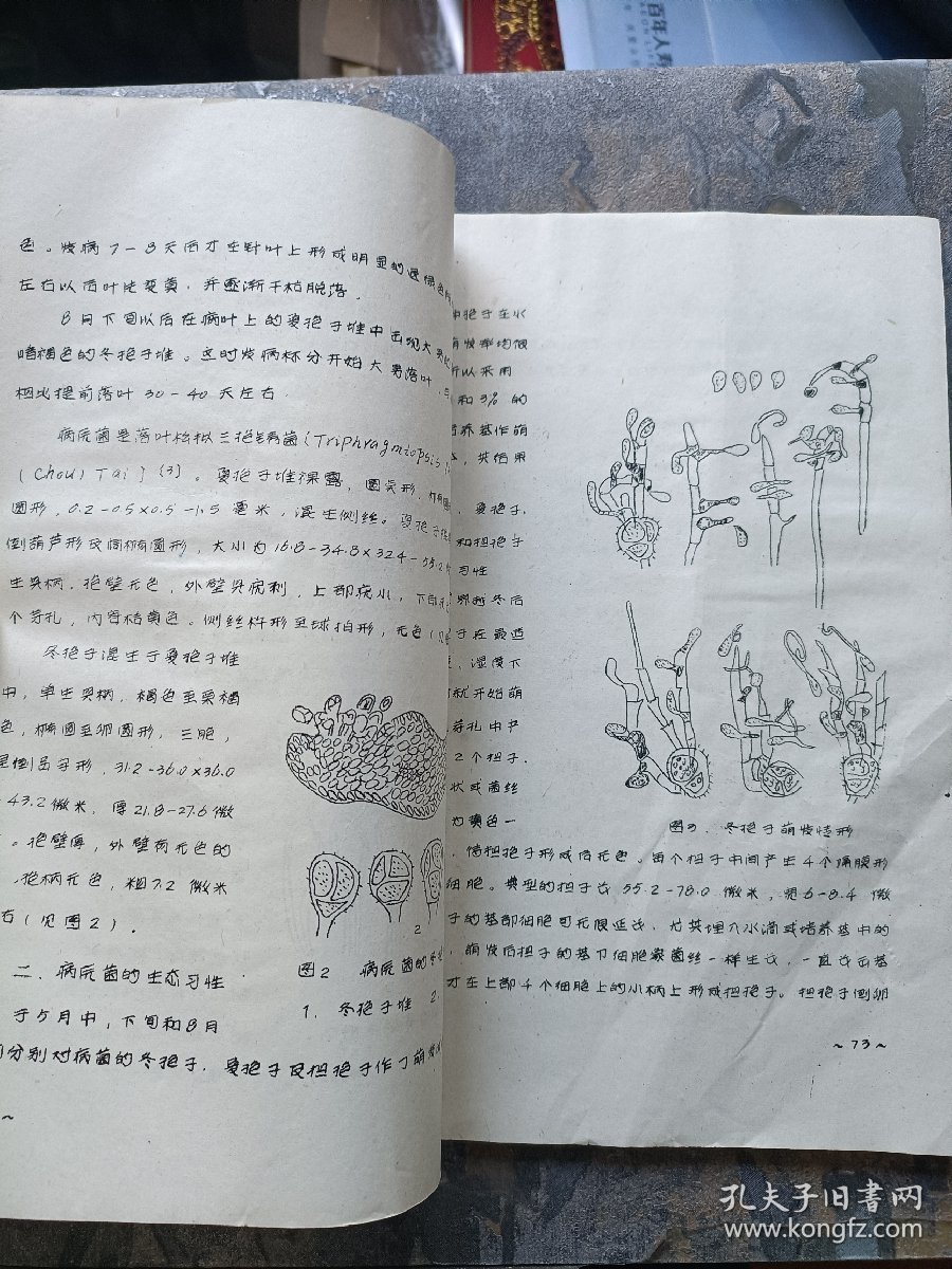 东北地区新林病研究汇集