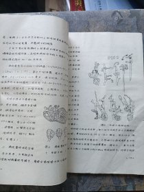 东北地区新林病研究汇集