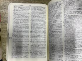 日中辞典 （日本原版）
