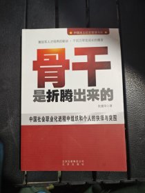 中国本土红色管理书系：骨干是折腾出来的