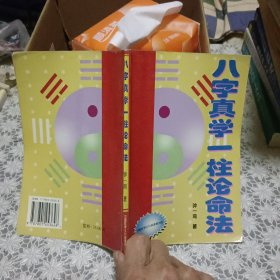 八字真学一柱论