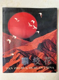 攀枝花画册