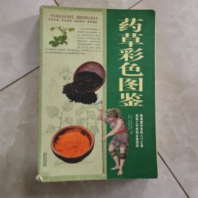 药草彩色图鉴（彩图版）