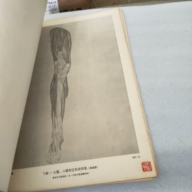《俄罗斯美术家人体解剖素描集》8开（散页装47页全,1956.7月1版1印,）