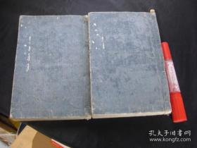 改订袖珍药说 上下2册全 明治9年(1876)