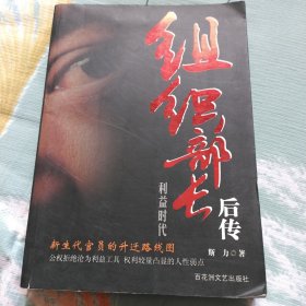 组织部长后传