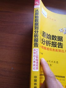 从原始数据到分析报告：Excel数据透视表高效达人养成记