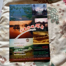 宁夏旅游风光vcd