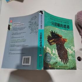 动物小说大王沈石溪：王妃黑叶猴