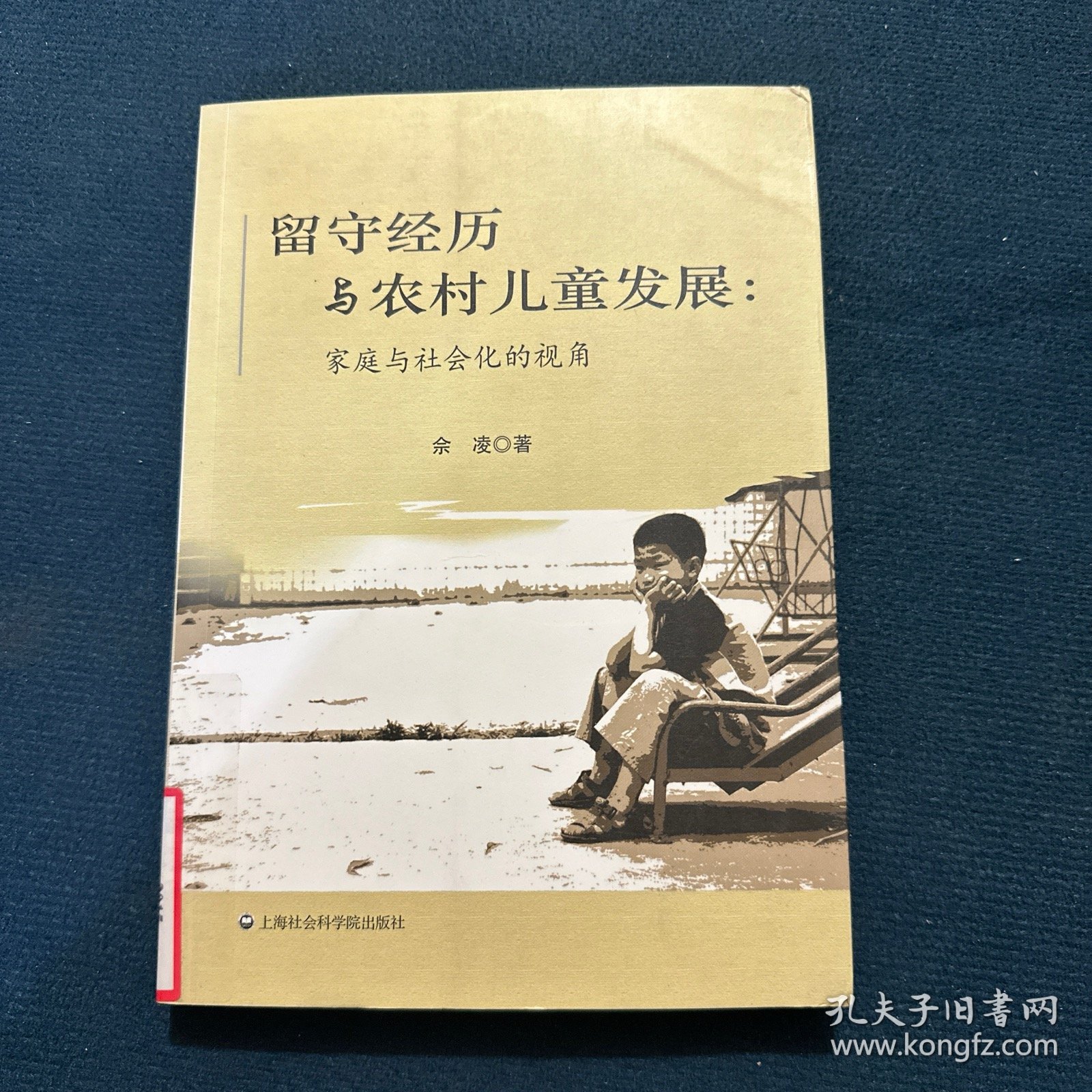 留守经历与农村儿童发展：家庭与社会化的视角