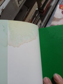 剑桥倚天屠龙史：The Cambridge History of Chinese Kongfu Circle during the Yuan Dynasty 有瑕疵见图