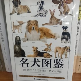 名犬图鉴