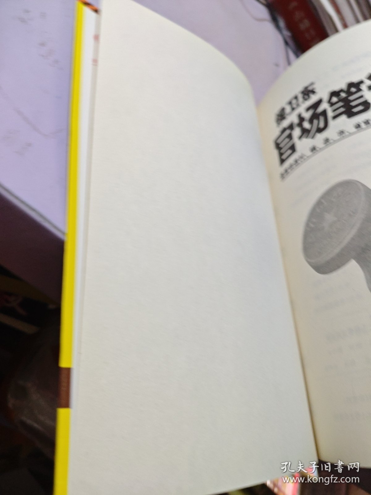 侯卫东官场笔记5：逐层讲透村、镇、县、市、省官场现状的自传体小说