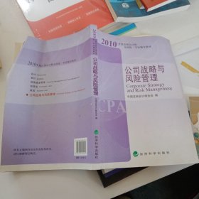 公司战略与风险管理